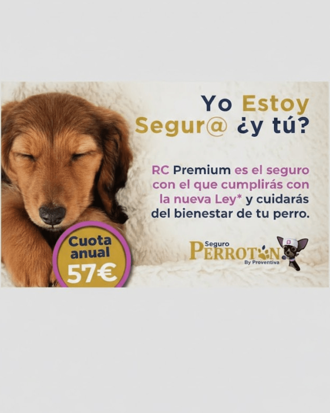 Perrotón